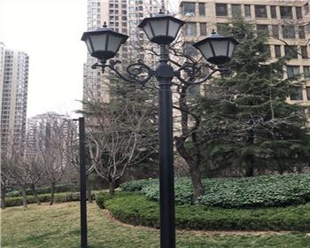 內蒙古太陽能路燈案例-西安白樺林間