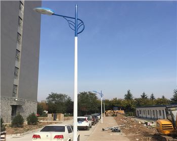 內蒙古市電路燈-內蒙古省西安市西北大學長安校區路燈工程