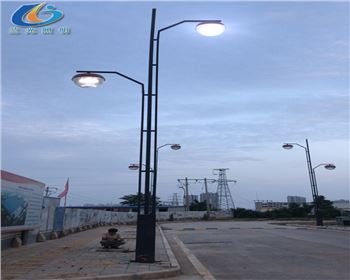 陜西洛川蘋果文化工業園路燈改造項目